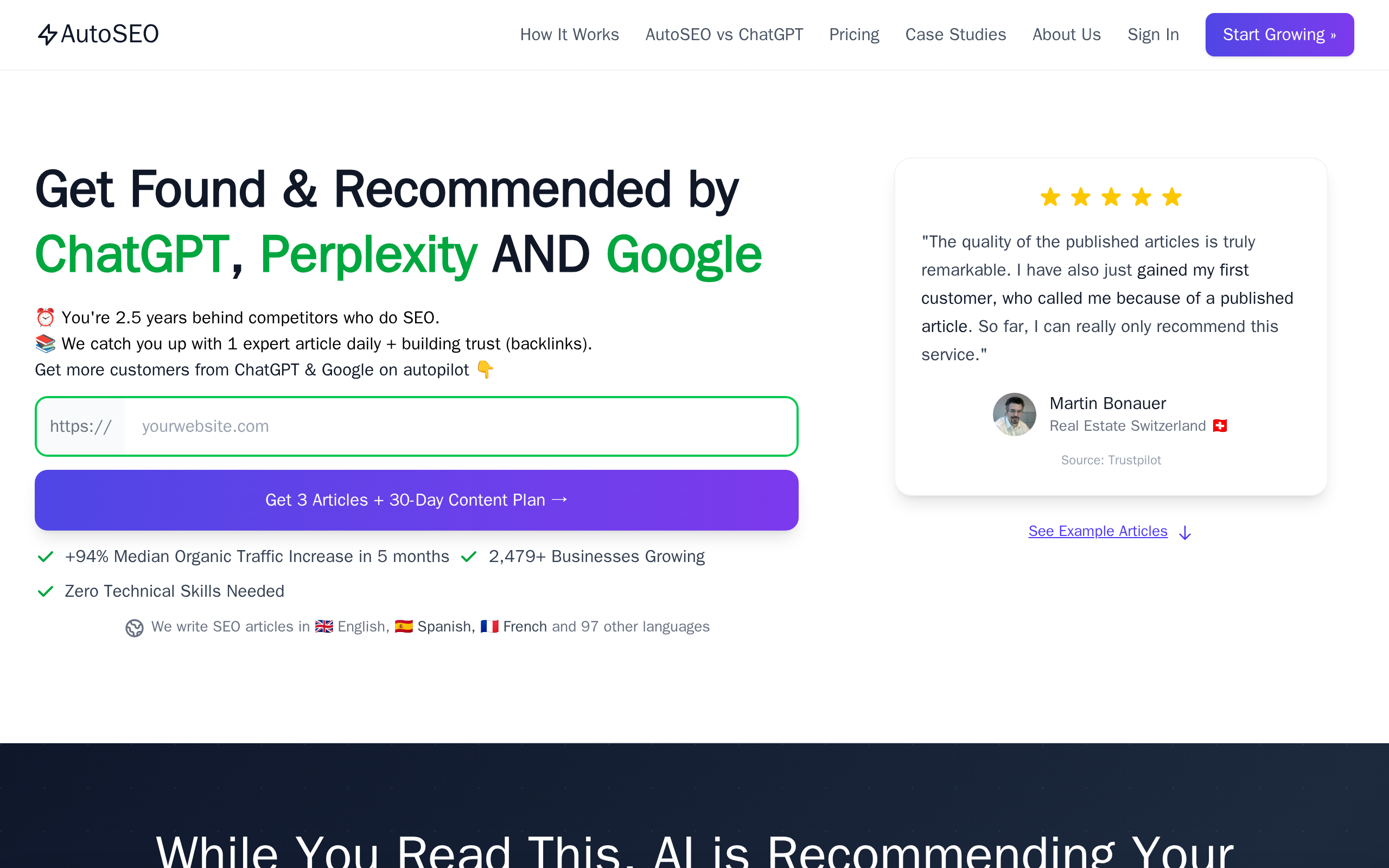 Screenshot of the AutoSEO website